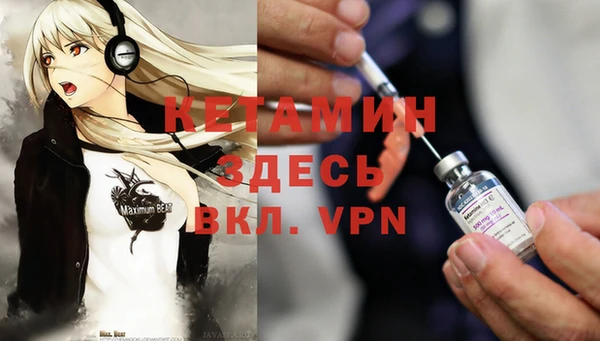 гашик Каменка