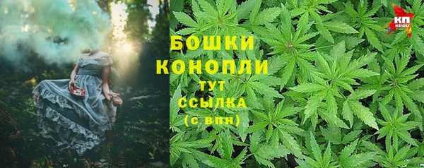 гашик Каменка