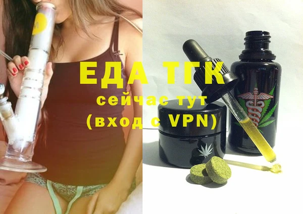 гашик Каменка