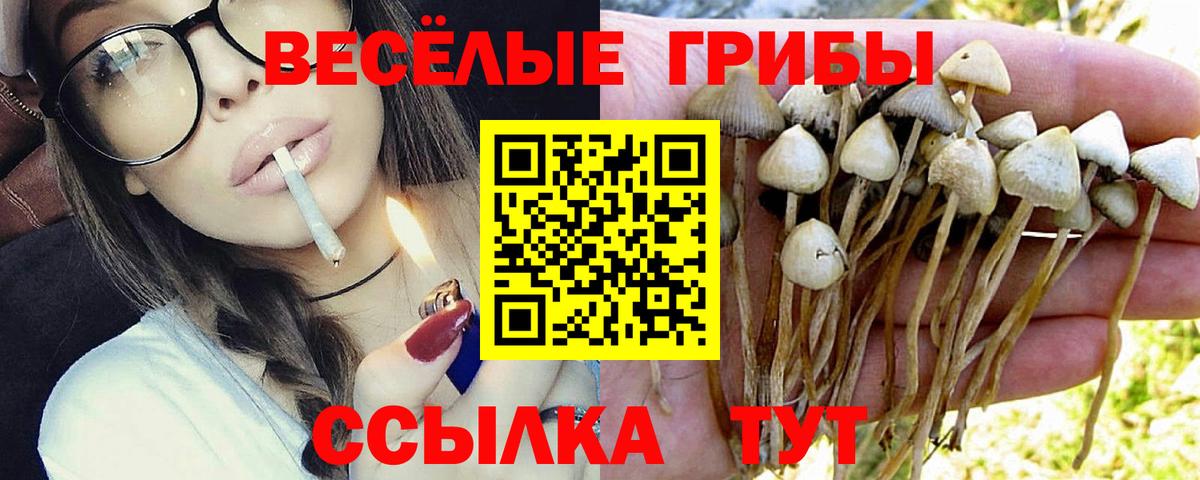 Красногорск  Псилоцибиновые грибы ЛСД  Псилоцибиновые грибы MAGIC MUSHROOMS  Вход с VPN 