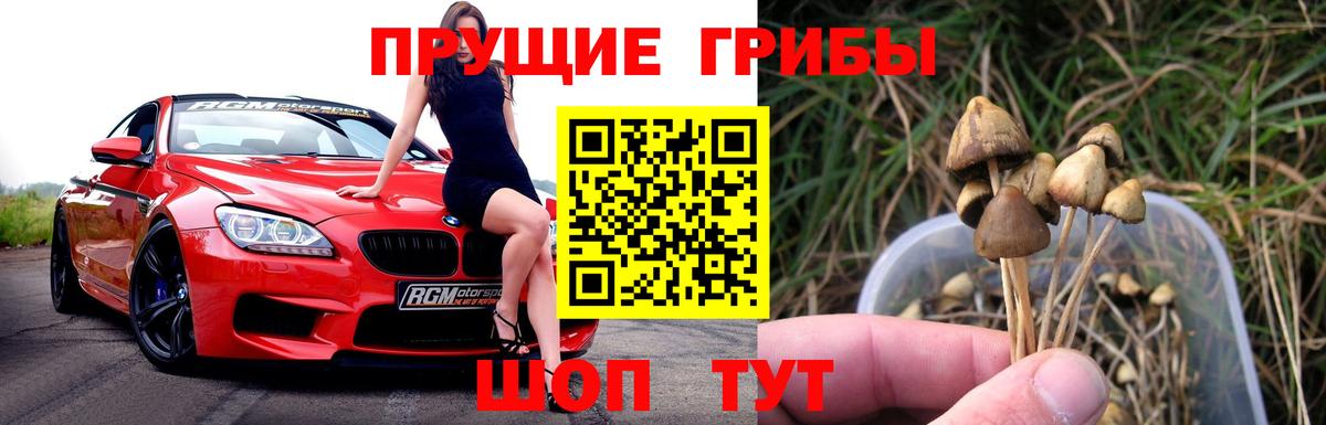 Псилоцибиновые грибы Cubensis  Красногорск  Галлюциногенные грибы ЛСД 