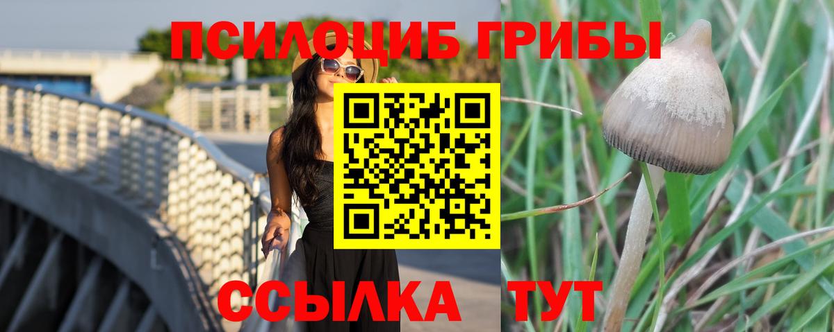 Псилоцибиновые грибы прущие грибы Красногорск